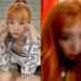 Red velvet 普段のスルギ(左)、二重にしたスルギ(右)